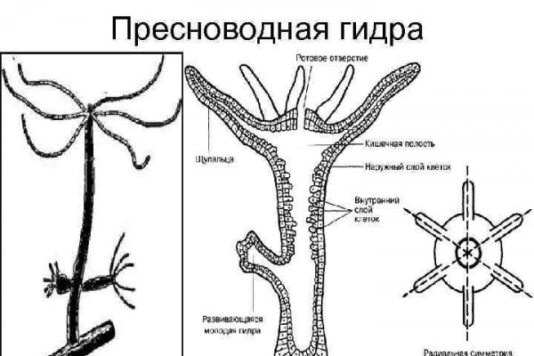 Кракен дарк площадка